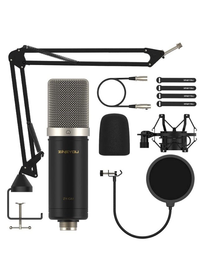 ZINGYOU ميكروفون ZY-CA1 XLR مكثف قلبي الشكل - Image 1